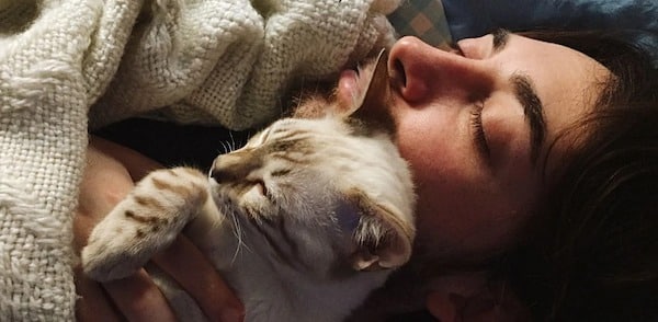 Est-il nocif de dormir avec son chat toutes les nuits ? Des experts répondent