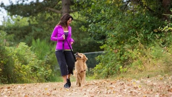 Si vous êtes hypertendu, c'est la raison pour laquelle vous devriez avoir un chien à la maison