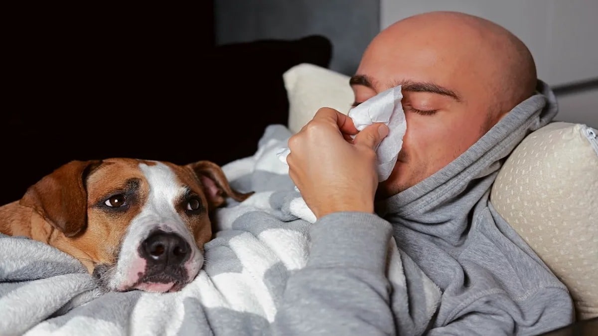 Pourquoi un animal de compagnie est-il utile lorsque vous vous sentez malade ?